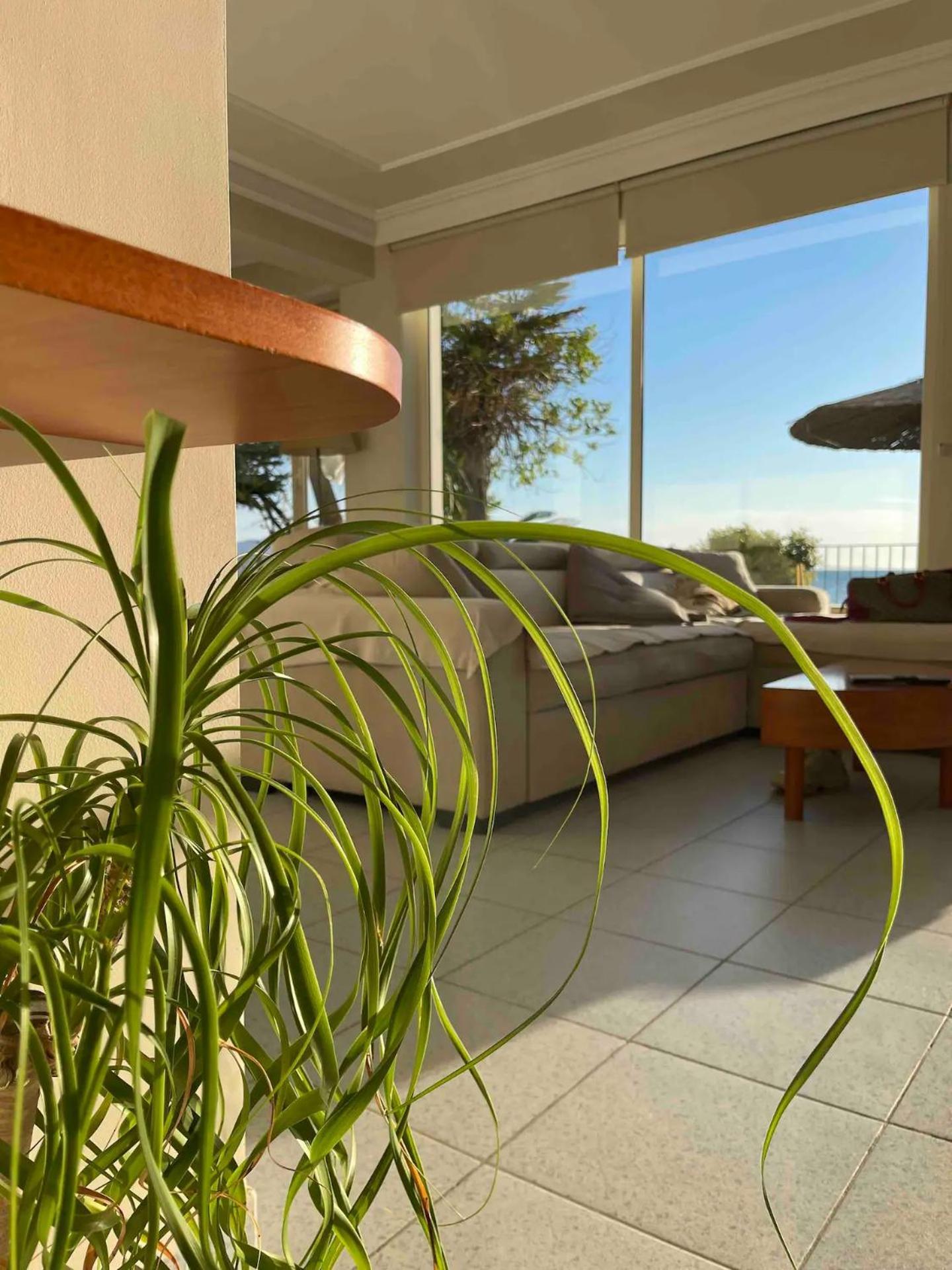 Aphrodite Direct Access To Beach *