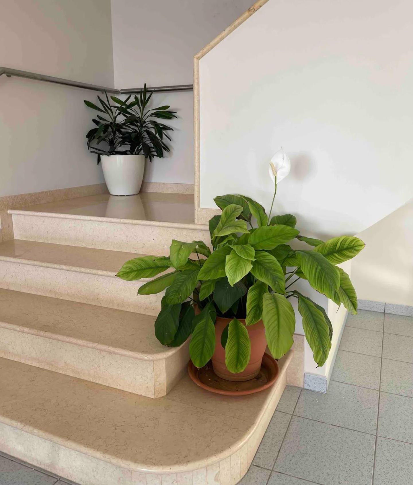 Villaer Aphrodite Direct Access To Beach Sarandë